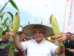 Inflasi Sultra Peringkat 20 Terendah Dari 38 Provinsi