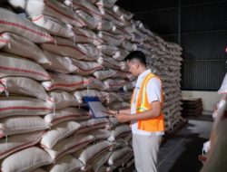 Pemerintah Siapkan Rp5 Triliun Bangun 100 Gudang Bulog untuk Perkuat Ketahanan Pangan